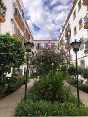 room Martinez Seville
